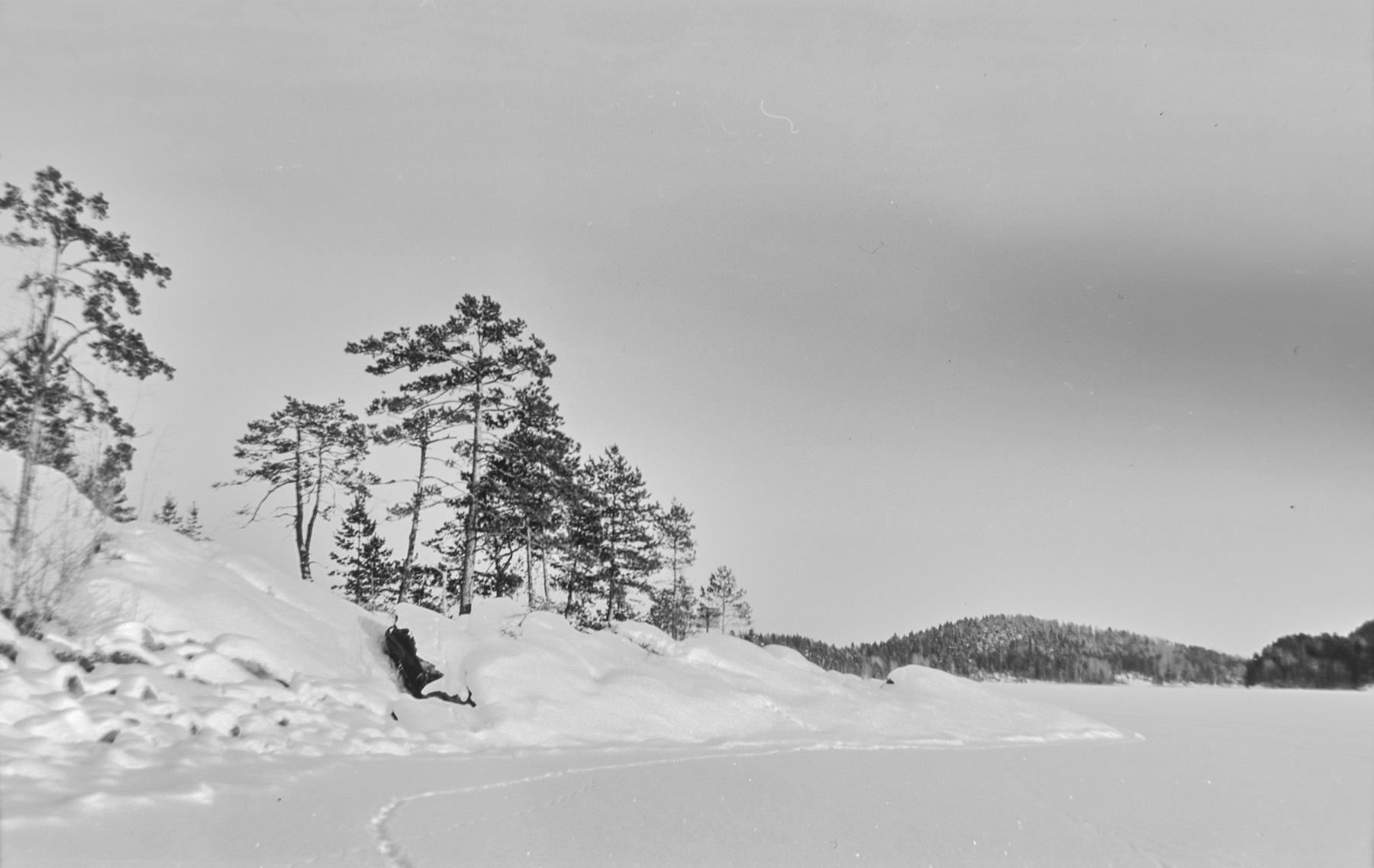 Фотография на плёнку 6×9, кадр 2